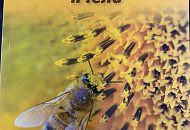 Эта книга посвещена обзору всех известных на сегодняшний день натуральных продуктов пчеловодства