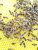 Купить Пчеломатка "Карника" - плодная по цене 1 350 руб. руб.