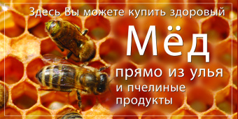 Купить Баннер для продаже меда  wzor04-RU по цене 2 500 руб. руб.
