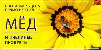 Купить Баннер для продаже меда  wzor14-RU по цене 2 500 руб. руб.